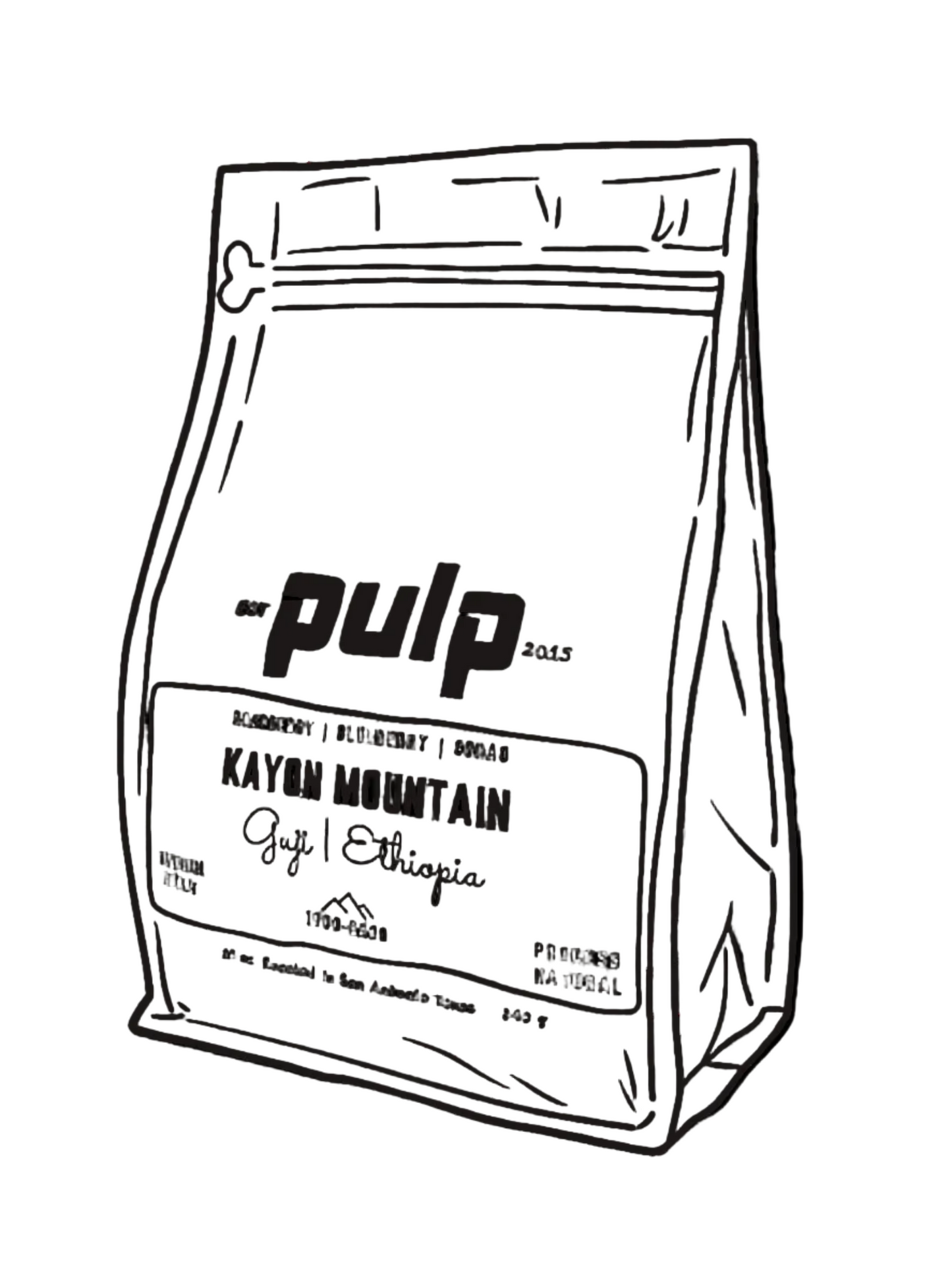 Kayon Mountain Guji | Ethiopia GR1