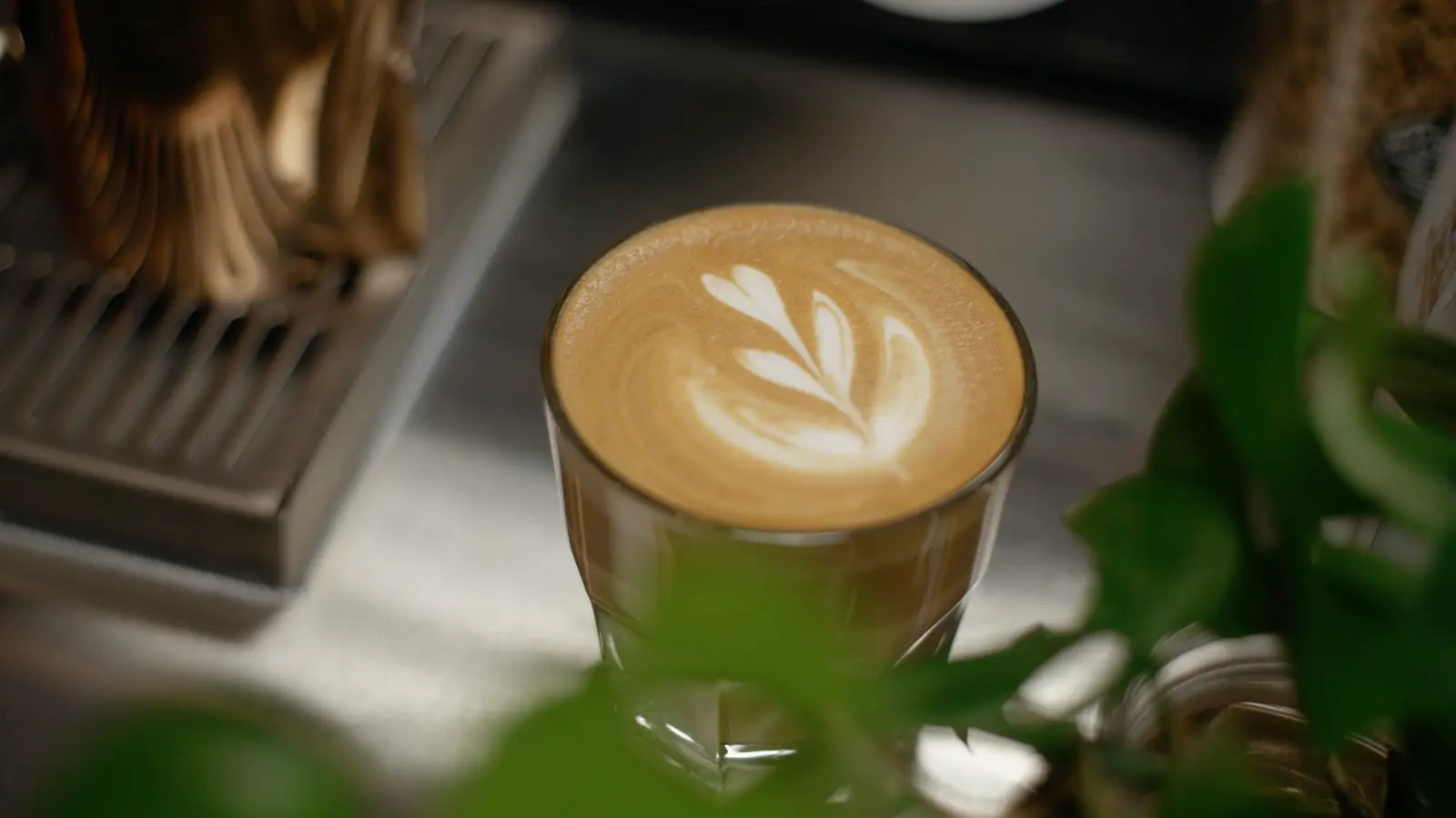 Barista training